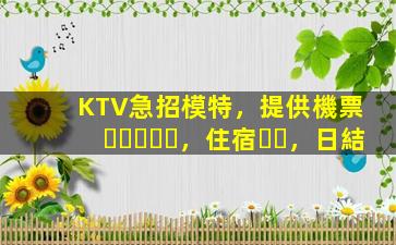 KTV急招模特，提供機票，住宿，日結